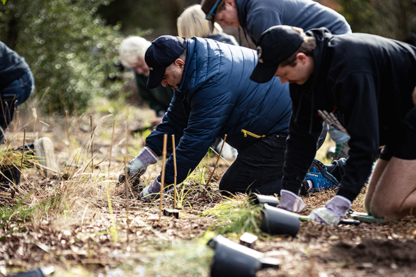 TreePlanting 600x400