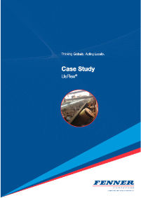 CaseStudy UsFlex IronOre